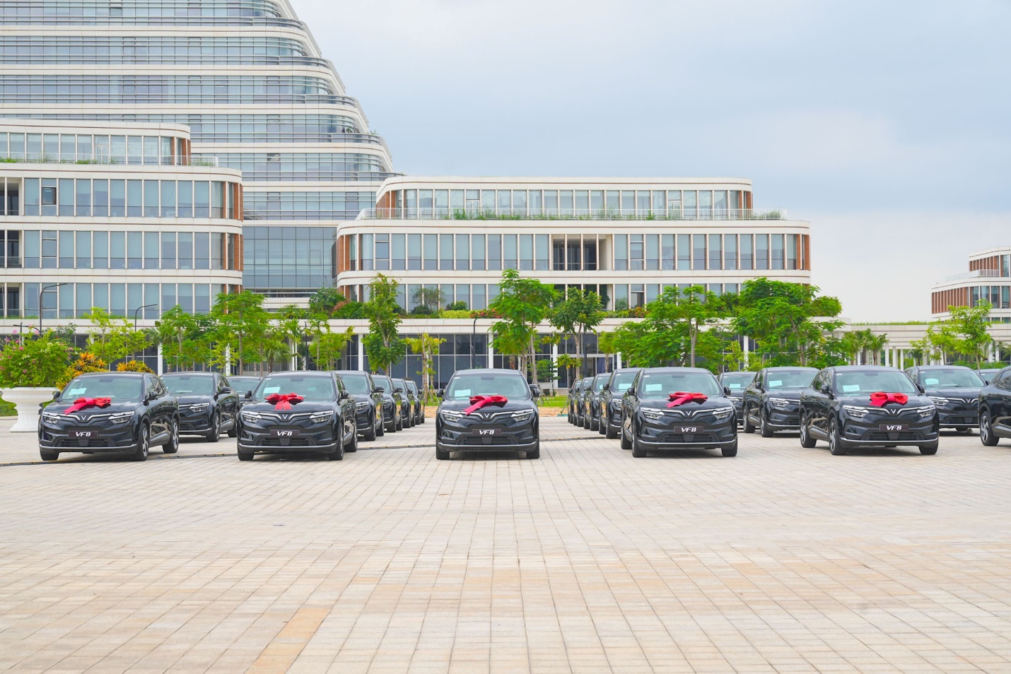 Description: https://cdn.haiphong.gov.vn/gov-hpg/1/tintuc/2026/7/484dbeeb-05a6-427d-b89c-804fdb3cba8a639192972606438500.jpg